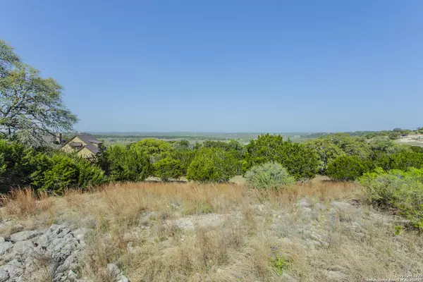 Spring Branch, TX 78070,252 RIVER CLIFF TBD