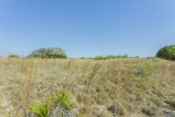 Spring Branch, TX 78070,252 RIVER CLIFF TBD