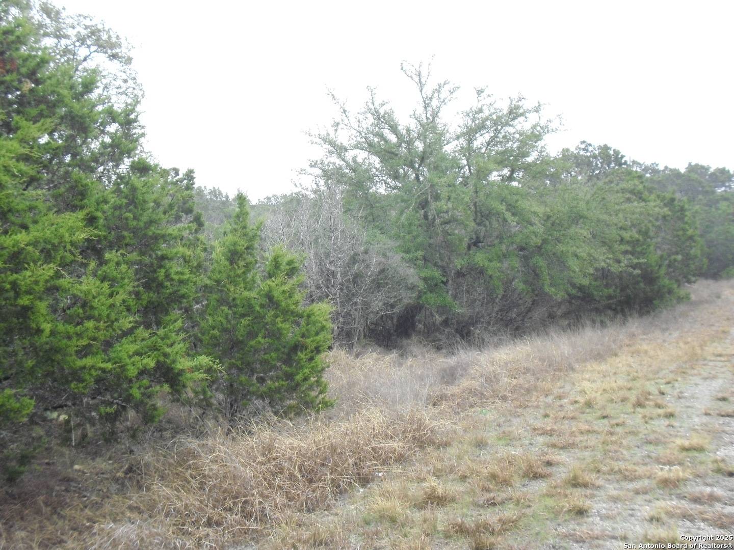 255 Hilltop Ridge, New Braunfels, TX 78132