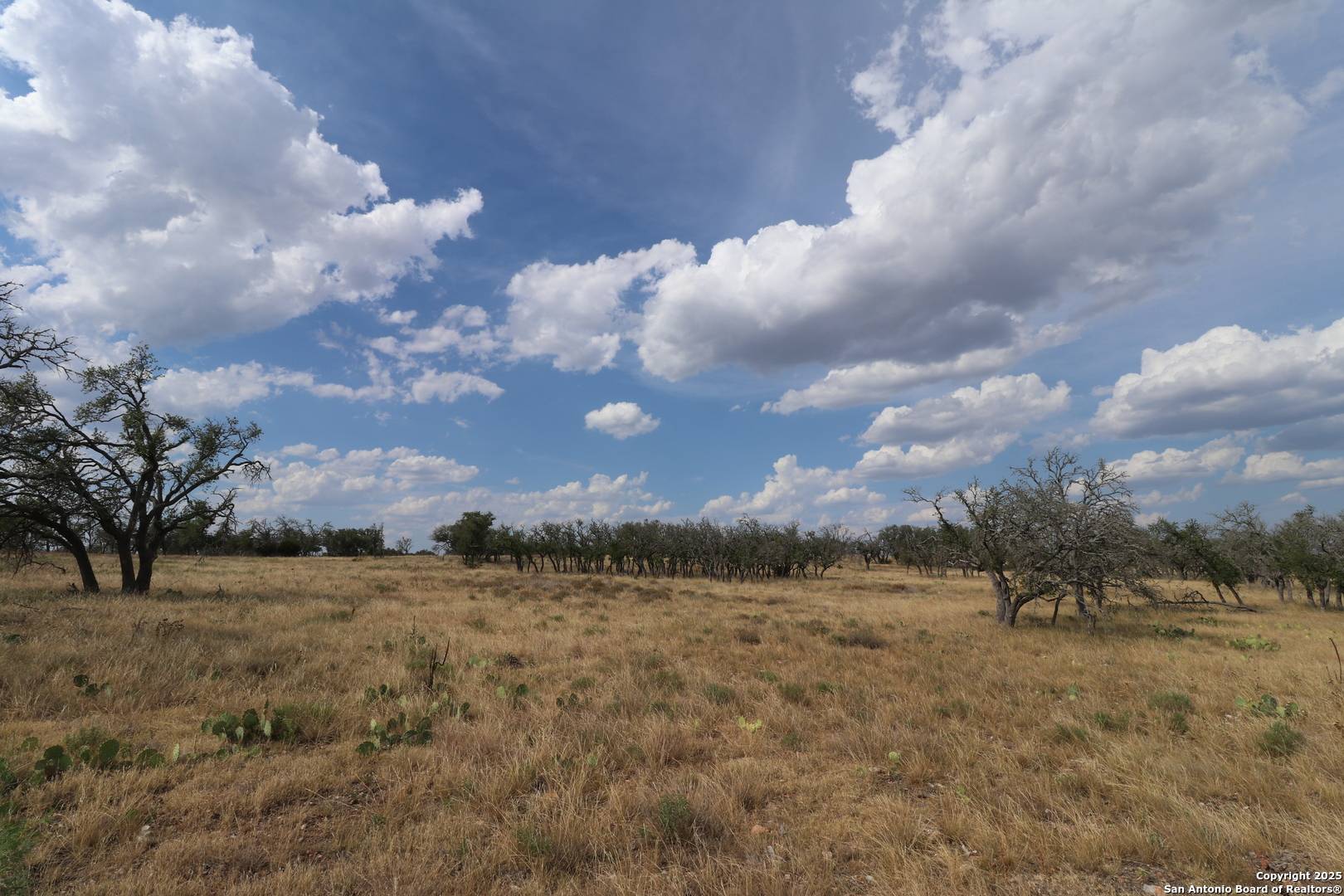 Harper, TX 78631,501 Nott Branch Rd