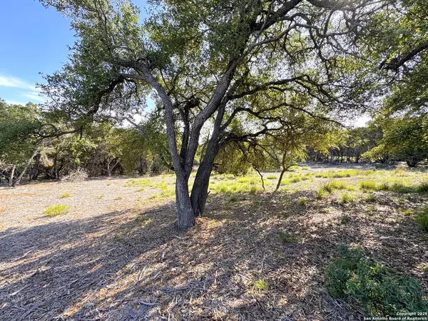 Canyon Lake, TX 78133-4456,108 SENDERA WAY