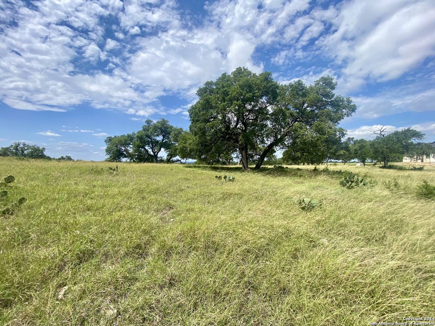Kerrville, TX 78028,LOT 158 Cattlemans Crossing