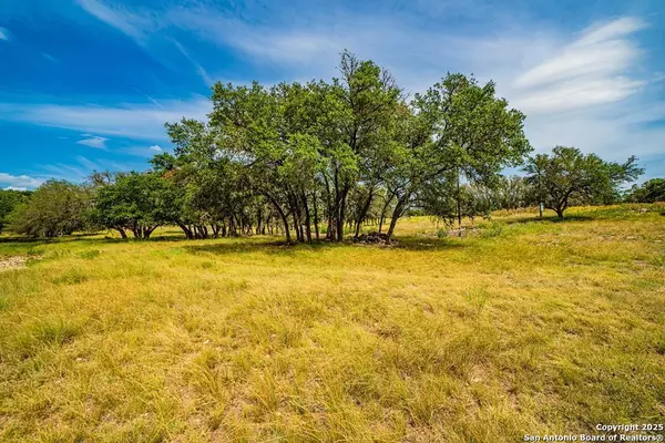 326 Blue Oak Tr, Harper, TX 78631