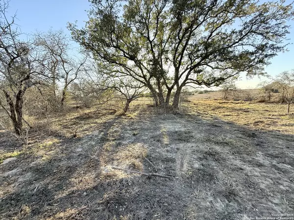 165 Sanctuary Lane (Tract 5), Von Ormy, TX 78073