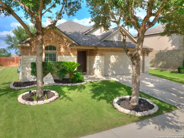 Schertz, TX 78154-6138,3117 PENCIL CHOLLA