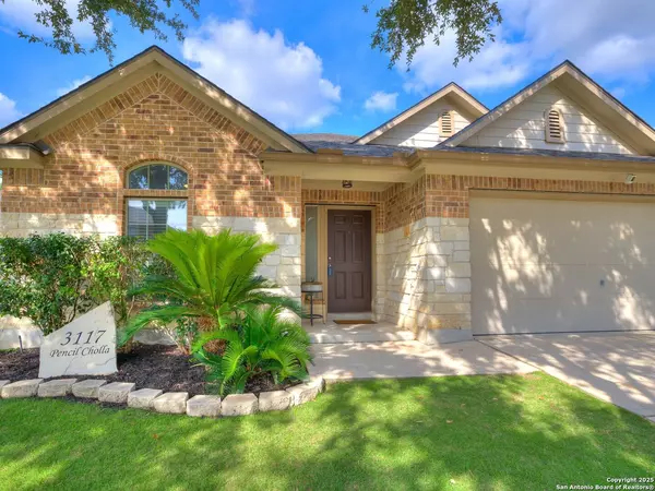 Schertz, TX 78154-6138,3117 PENCIL CHOLLA