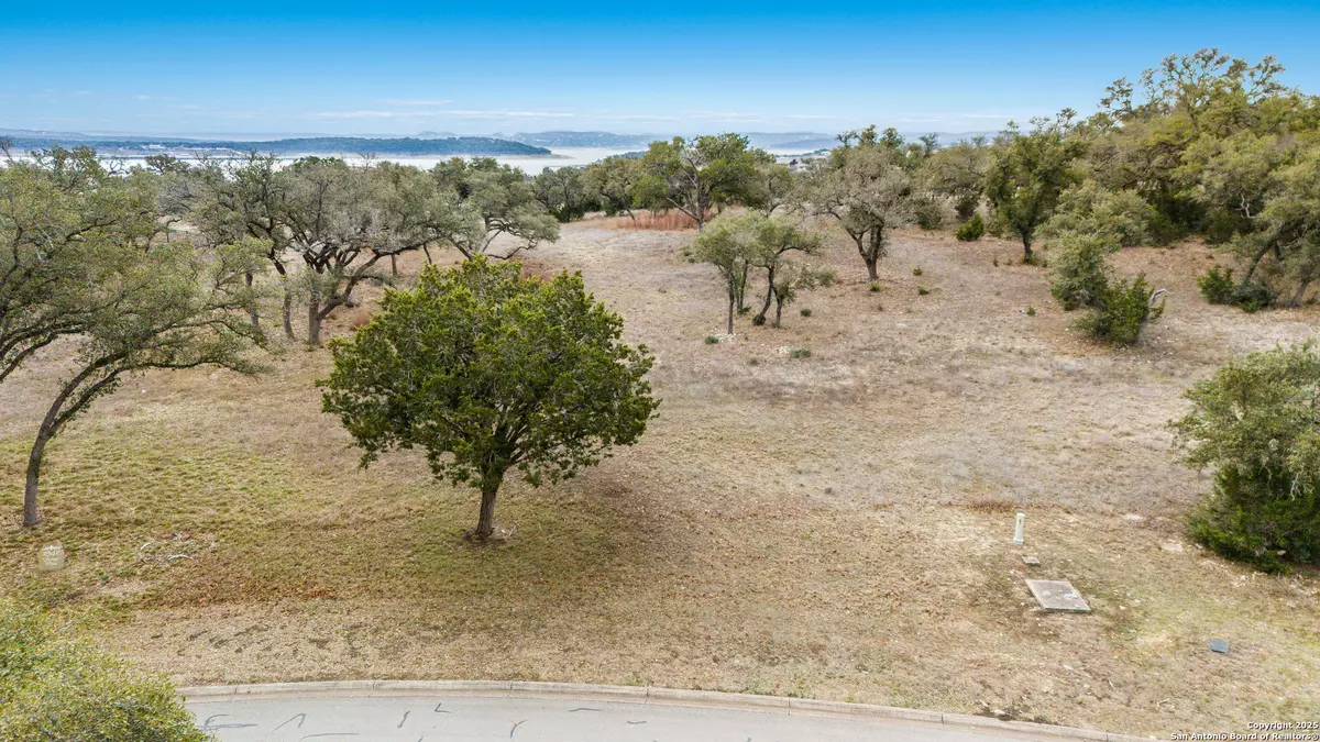 Canyon Lake, TX 78133,2542 GEORGE PASS
