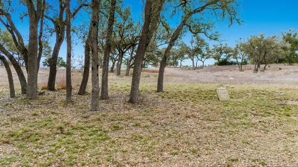 Canyon Lake, TX 78133,2542 GEORGE PASS