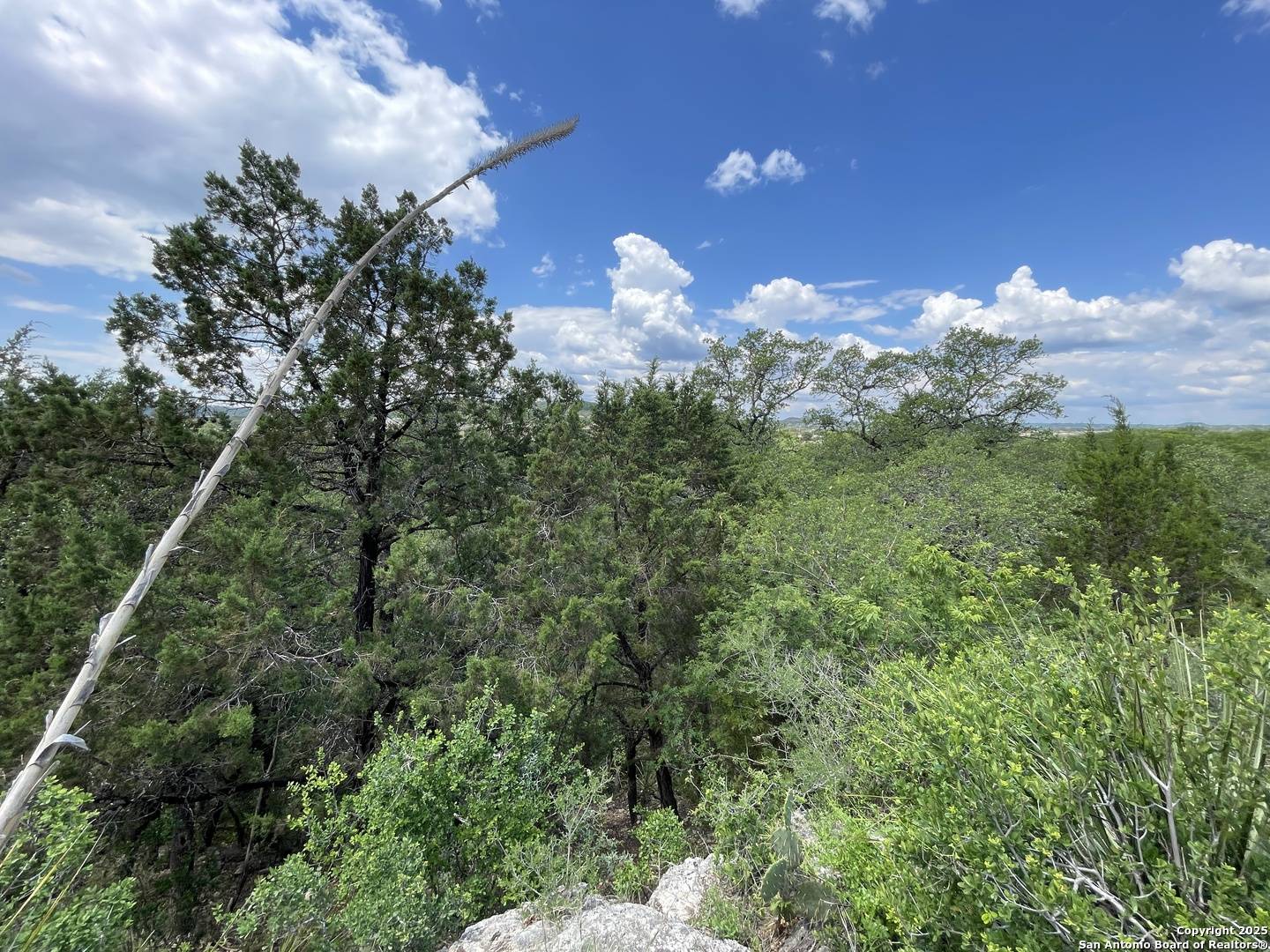 San Antonio, TX 78257-1442,24419 CLIFF LINE