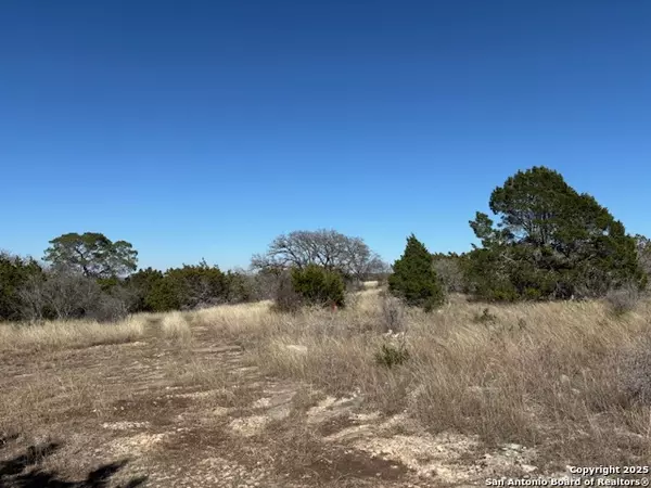 Camp Wood, TX 78833,310 Ringtail Rd
