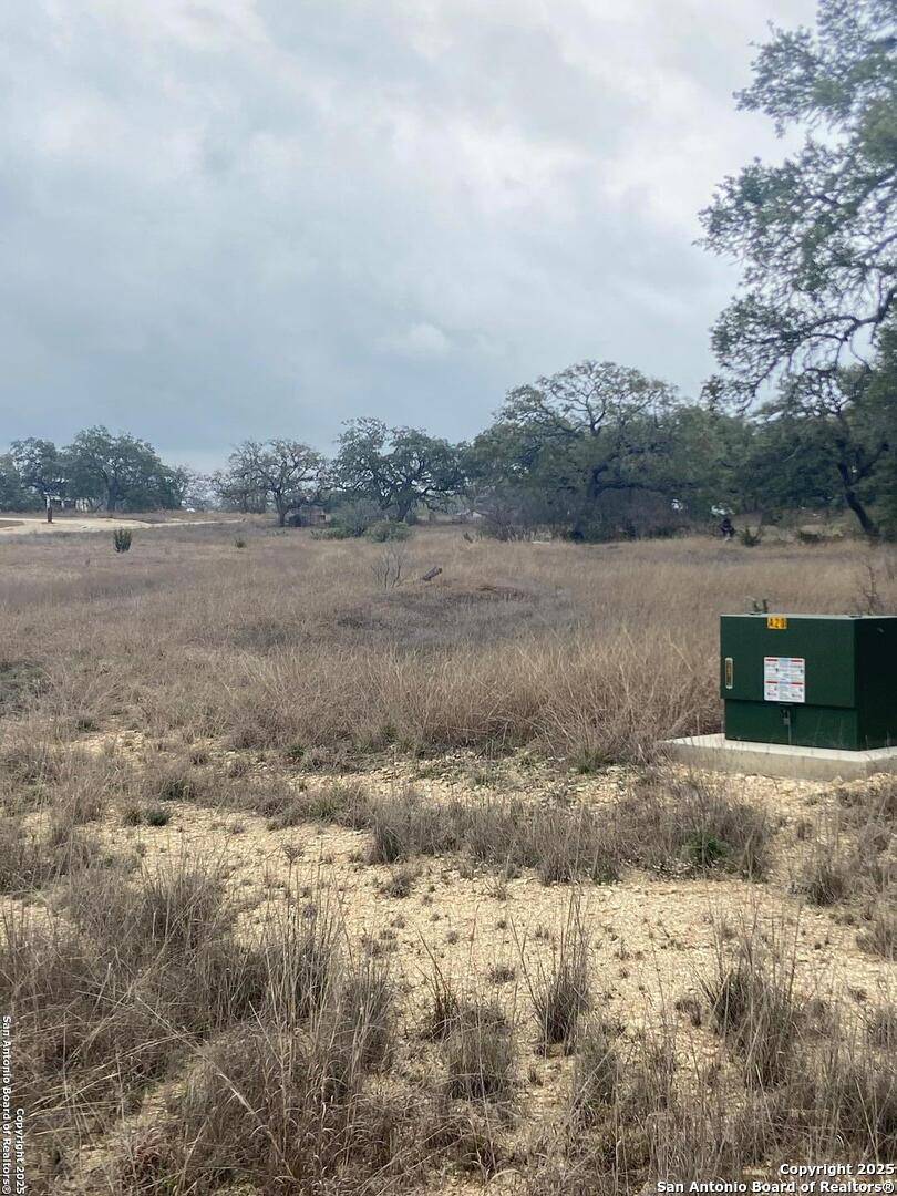 Bulverde, TX 78163,785 Ansley Home