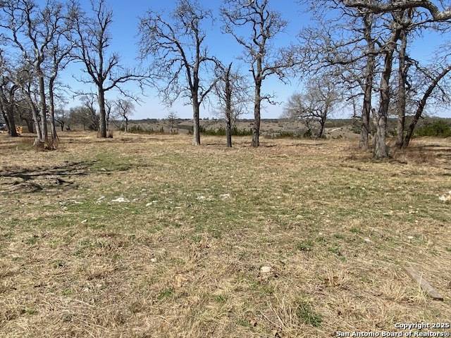 Blanco, TX 78606,LOT 207 majestic hills