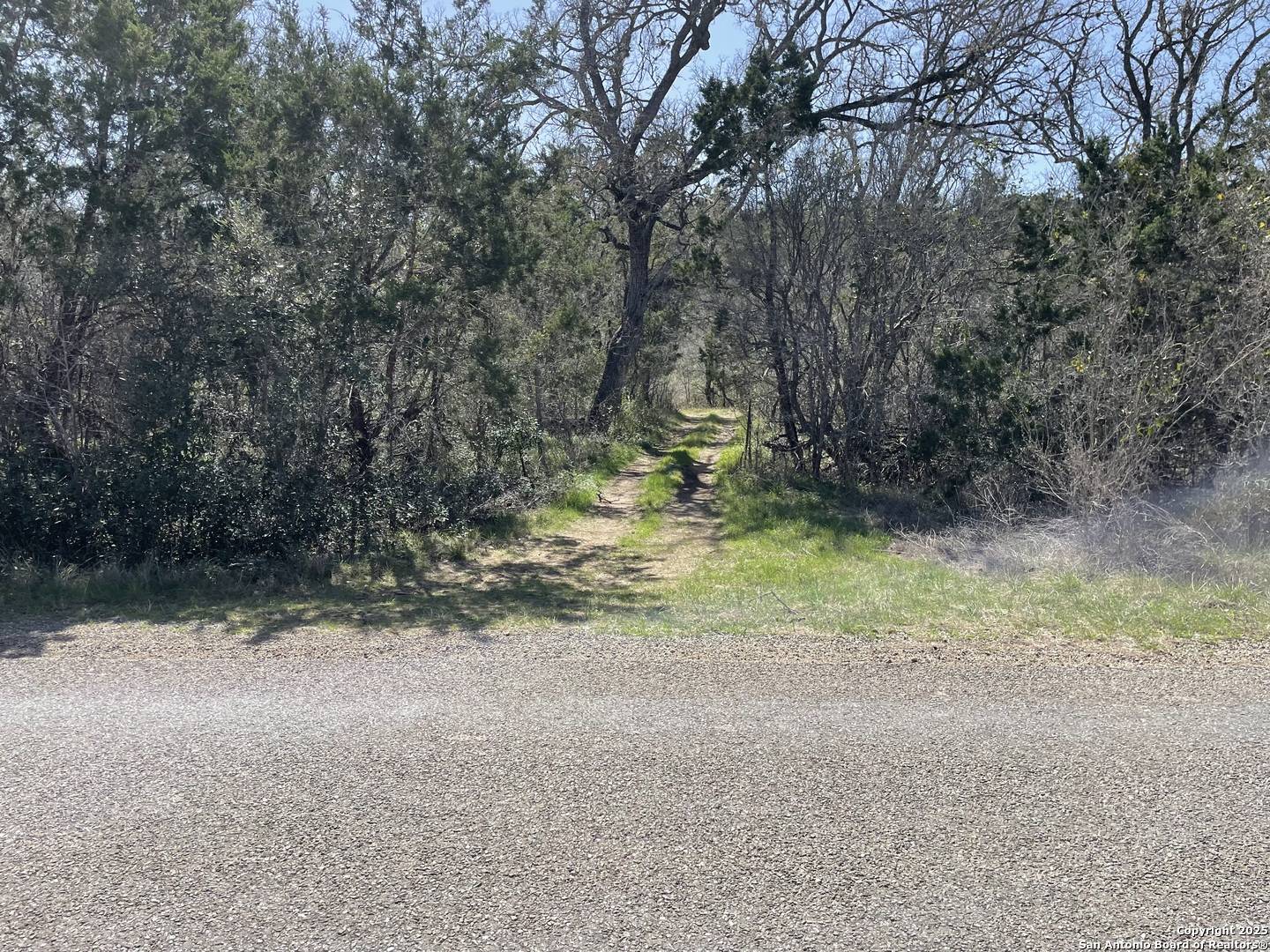 Hondo, TX 78861,TBD County Road 241
