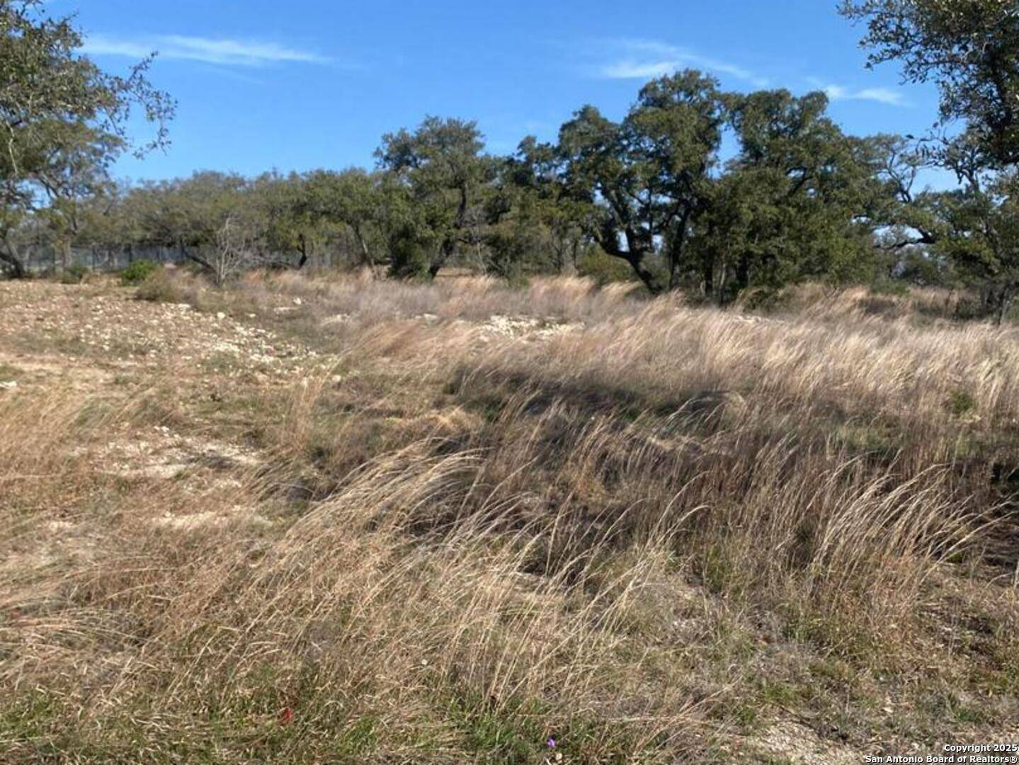 Boerne, TX 78006,11221 Ensor