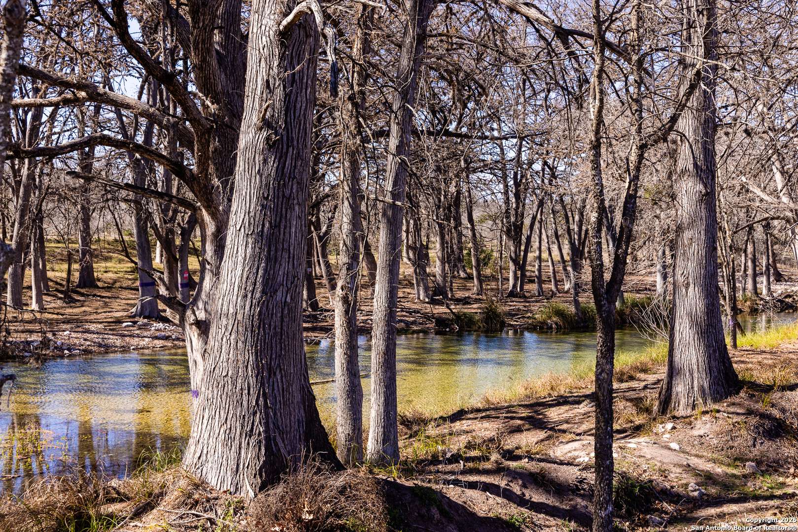 2400 Little Dry Frio Road, Leakey, TX 78873