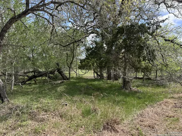 552 County Road 423, Stockdale, TX 78160