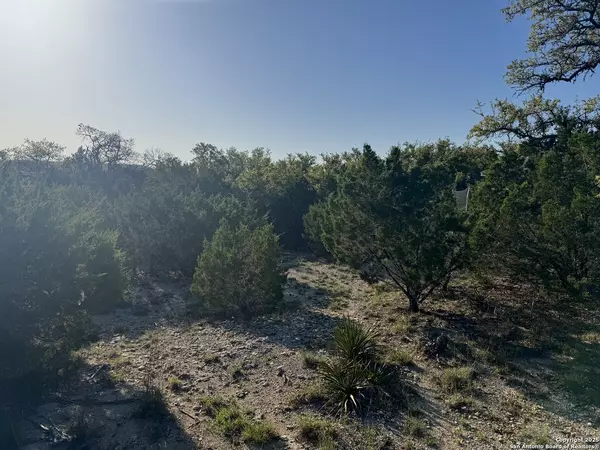 Canyon Lake, TX 78133,1111 Rocky Ridge Loop