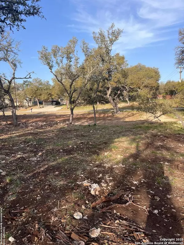Canyon Lake, TX 78133,3355 Lakeview