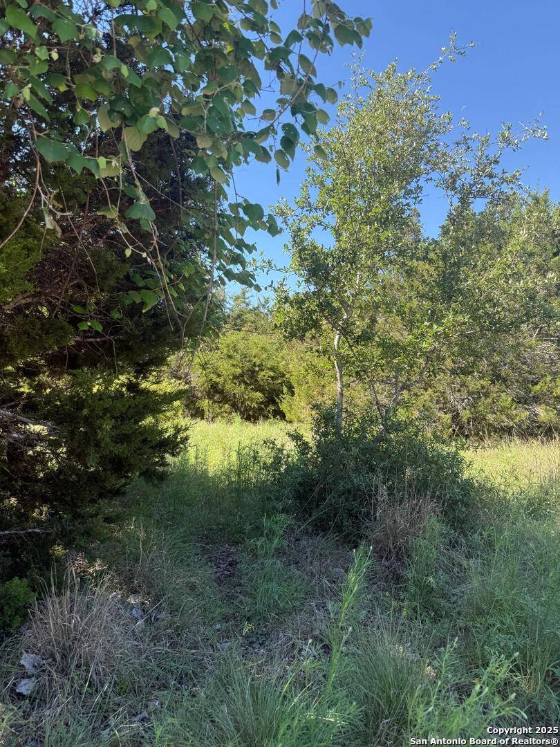 Spring Branch, TX 78070,5205 Ascot