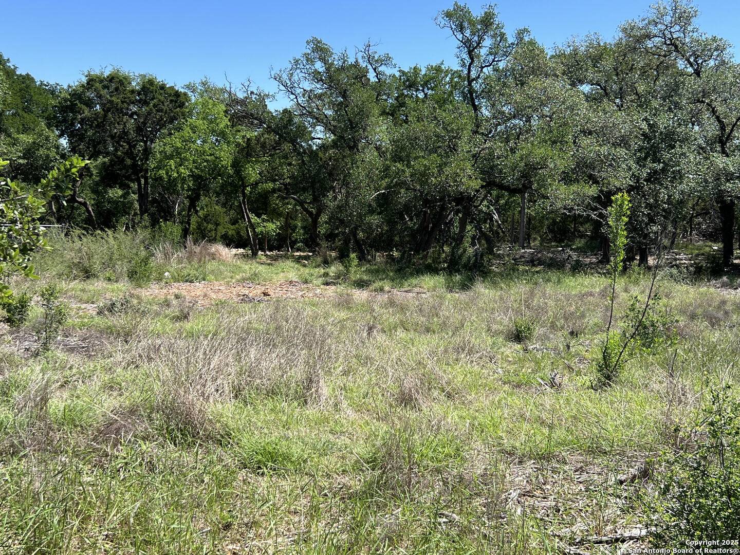 New Braunfels, TX 78132,287 Curvatura