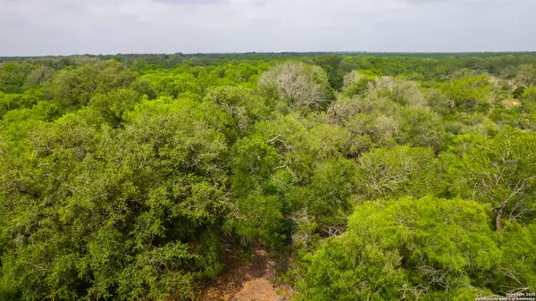 Dilley, TX 78017,000 Fm 1581
