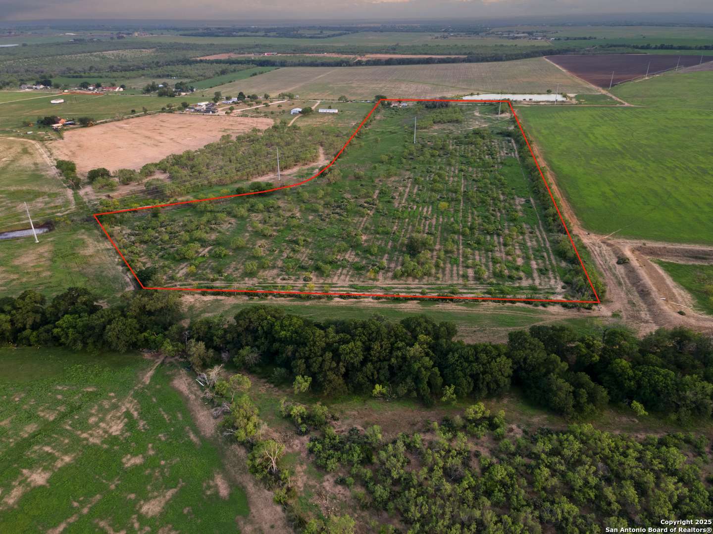 Devine, TX 78016,1236 County Road 7611
