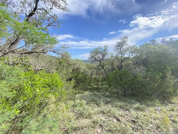 Concan, TX 78838,430 Frio Canyon Loop