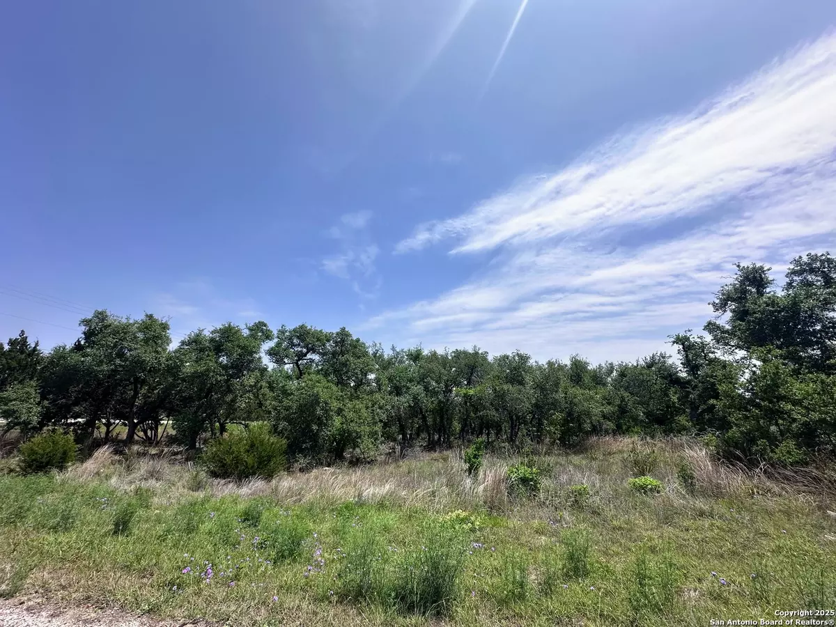 Spring Branch, TX 78070,154 Vista View Pl