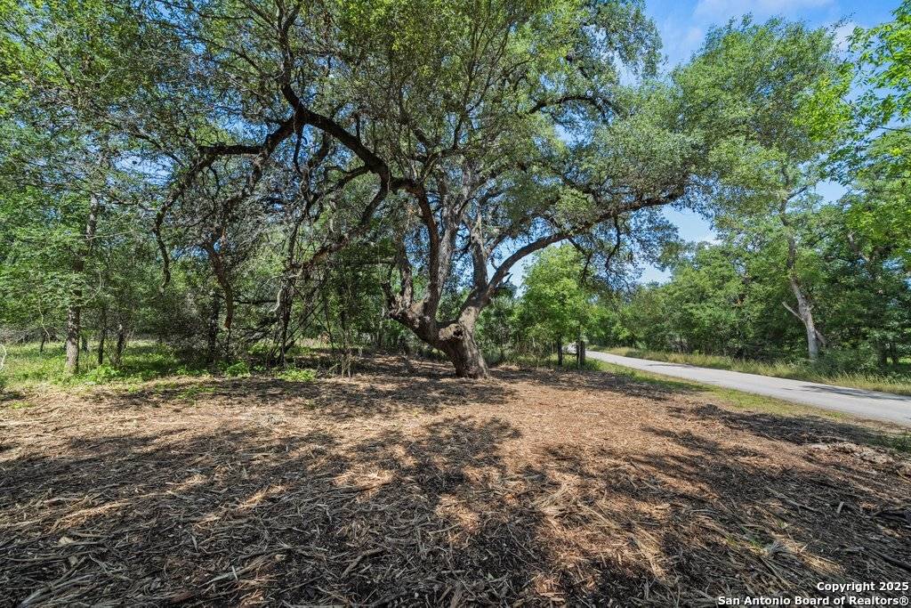 240 Caney Creek Road, New Braunfels, TX 78130
