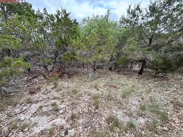 Fischer, TX 78623,1197 Spice Wood