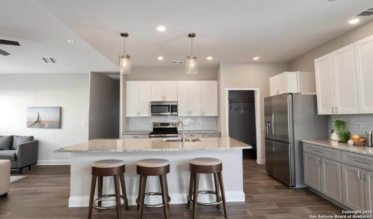 1041 Burning Tree, Spring Branch, TX 78070