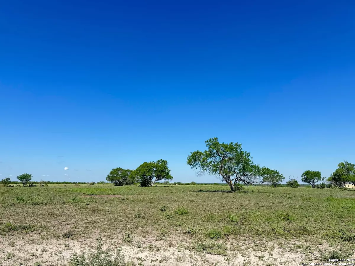 Falls City, TX 78113,LOT 2 0 CR 197