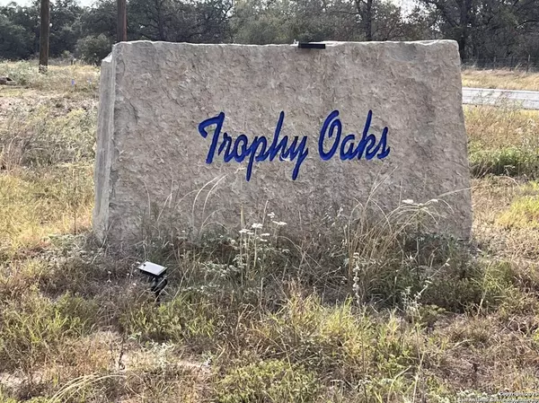 48 grey fox,  Poteet,  TX 78065