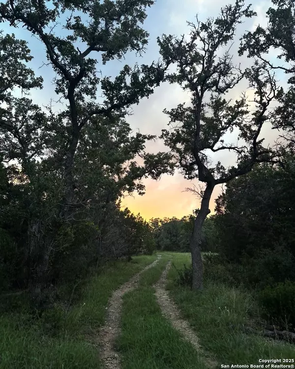 Bulverde, TX 78163,1 Bergwald