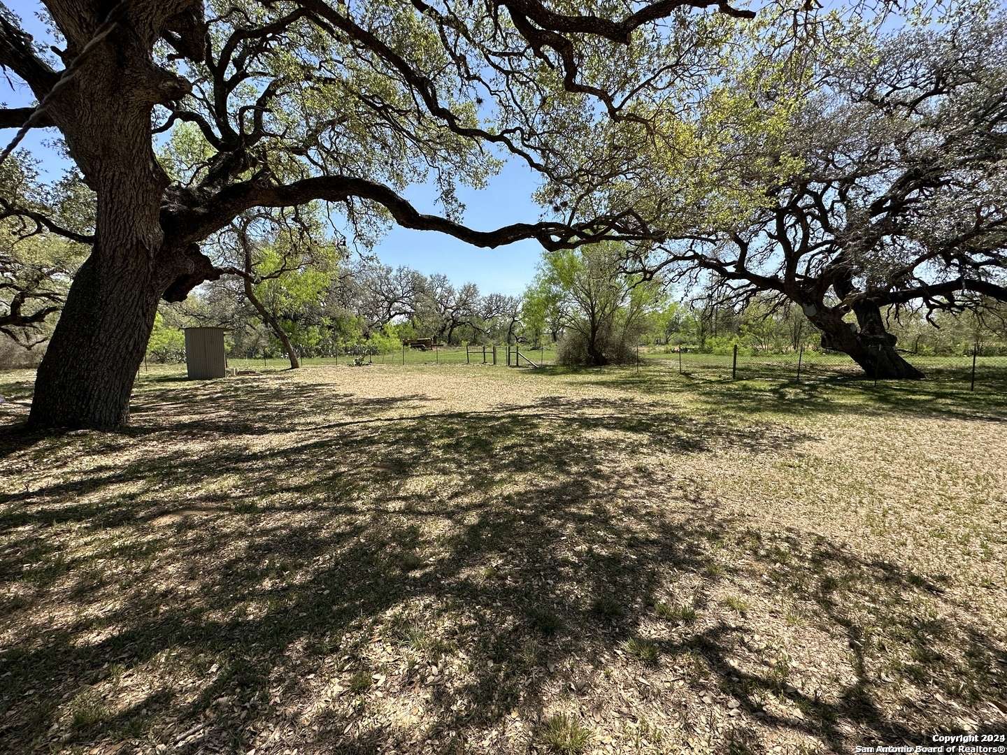 Moore, TX 78057,5515 Fm 462