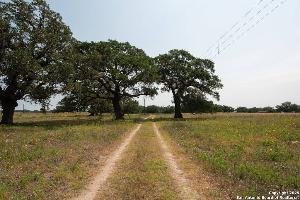 1003 County Road 334, Stockdale, TX 78160