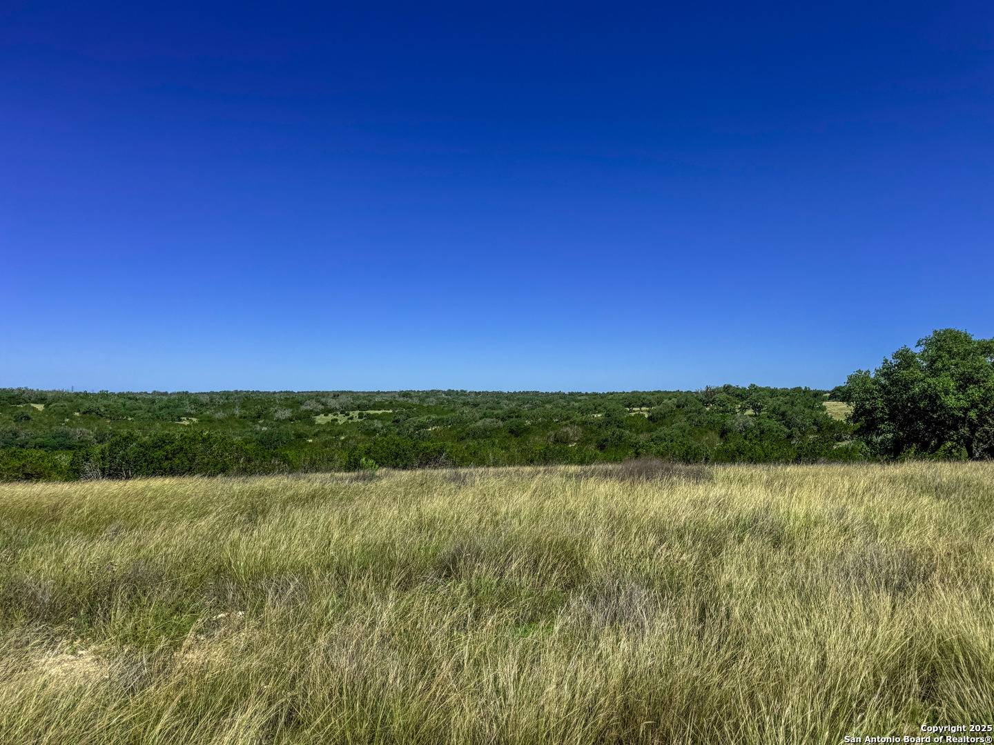 Kerrville, TX 78028,LOT 20 Loma Vista Ranch