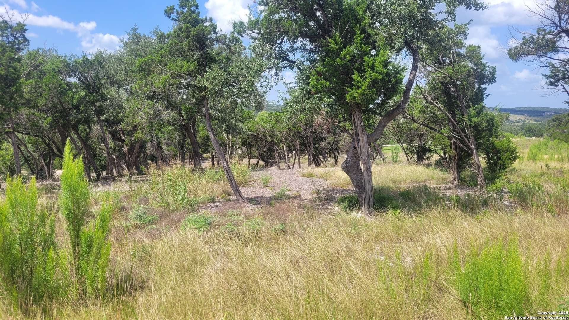 New Braunfels, TX 78132,1466 Chianti
