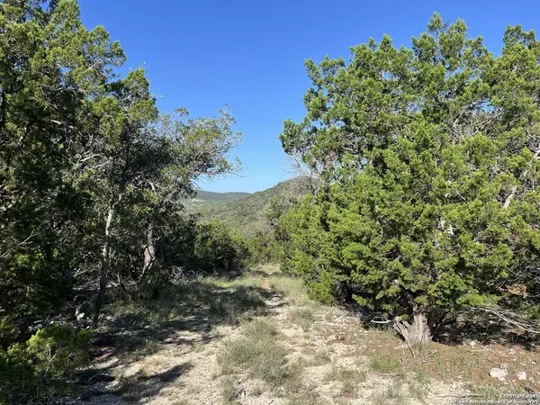Camp Wood, TX 78833,3895 county road 389