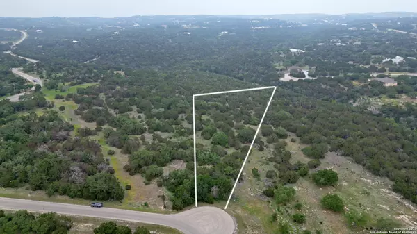 Spring Branch, TX 78070,431 Rosinweed