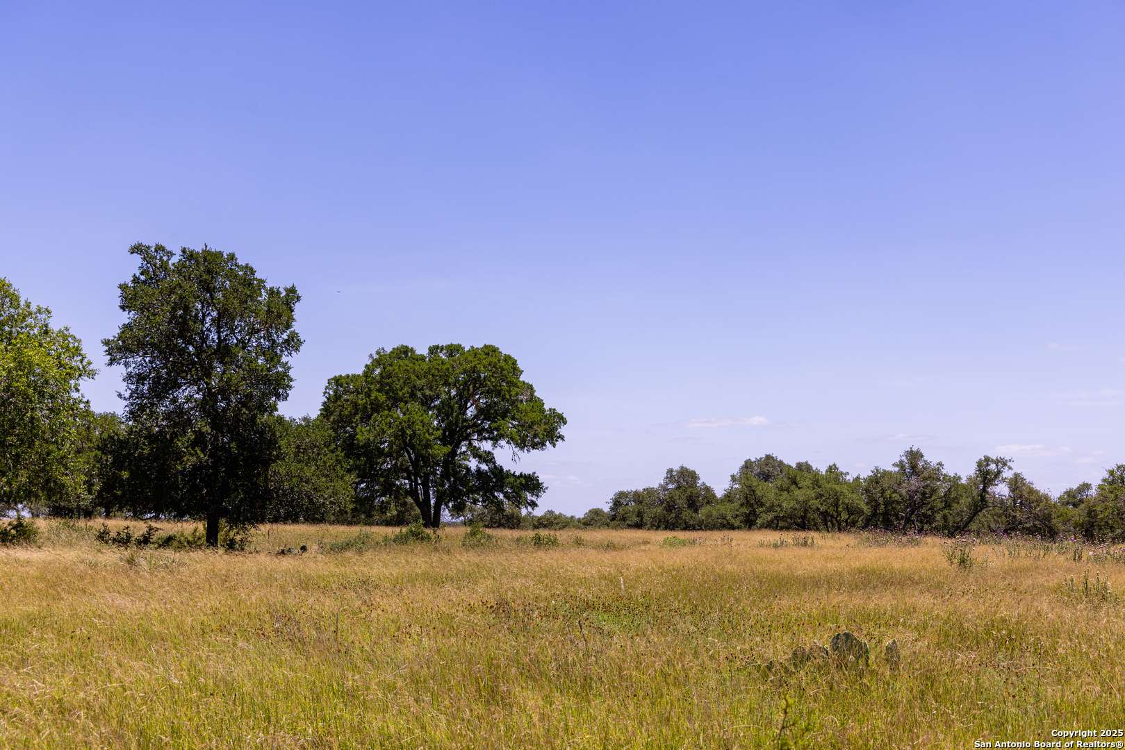 Kerrville, TX 78028,190 Jones