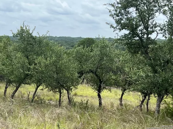 Boerne, TX 78006,LOT 19 Monterey