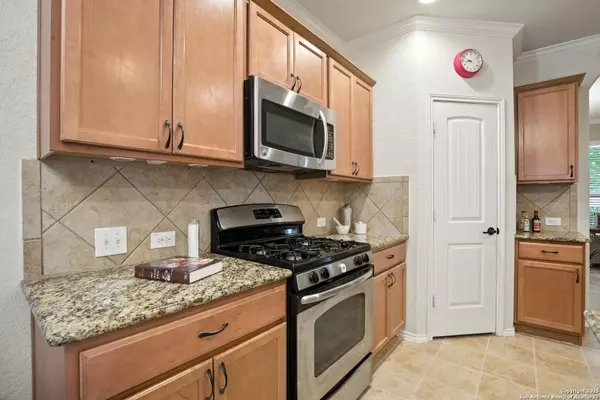 Schertz, TX 78154,3116 Pencil Cholla