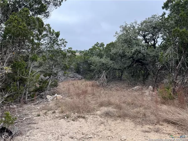 Spring Branch, TX 78070,713 Stagecoach