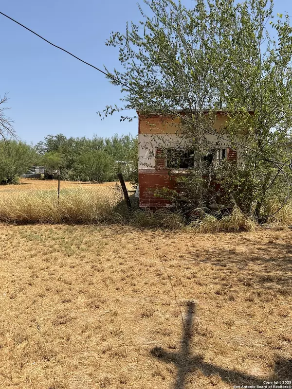 Dilley, TX 78017,332 Salinas