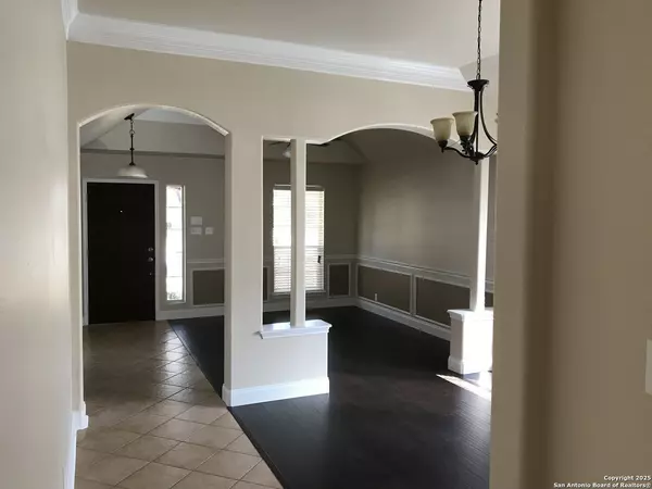 Schertz, TX 78154,2846 olive