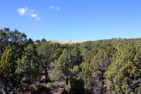 Cedar City, UT 84720,Lot 48 S Vaquero DR #48