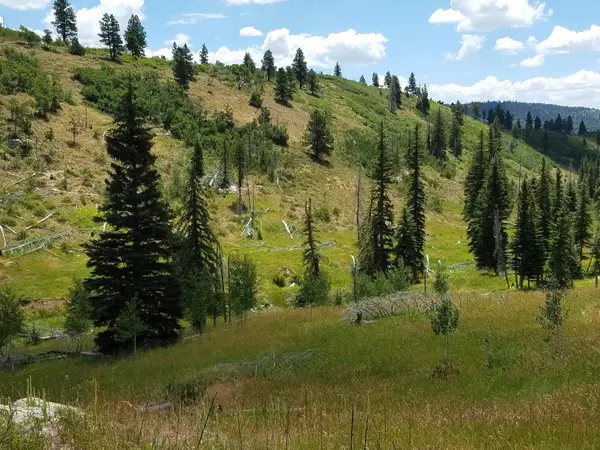 Duck Creek, UT 84762,41 S Cedar Mountain Property E