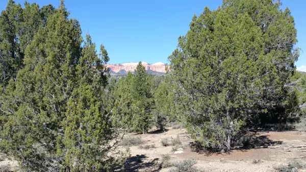 Kanab, UT 84741,Johnny Brown Pkwy #17