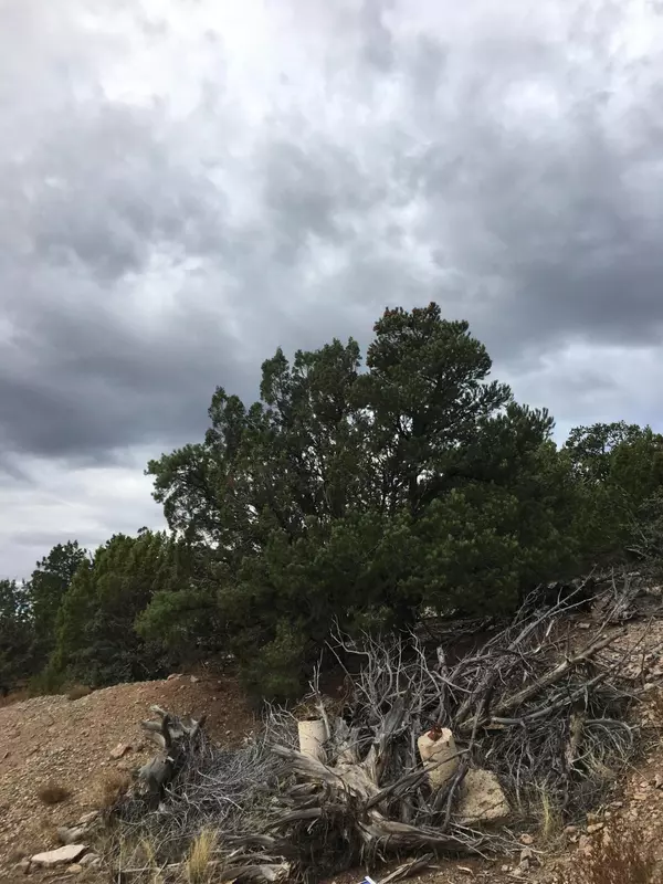 Central, UT 84722,311 Butch Cassidy